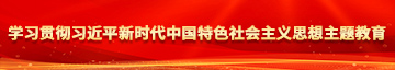 少萝后入学习贯彻习近平新时代中国特色社会主义思想主题教育